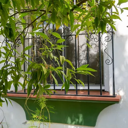 Villa Malaguena Malaga