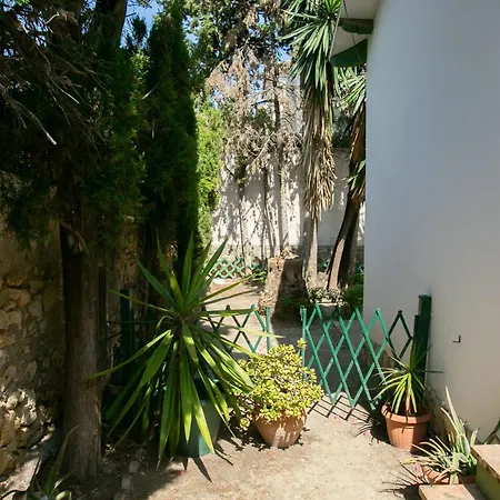 Malaguena Villa Malaga